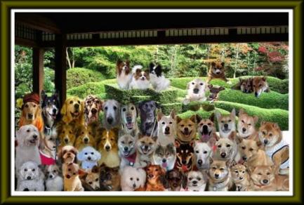 ２００６wan忘年会