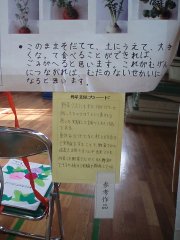 作品展2009Ａ