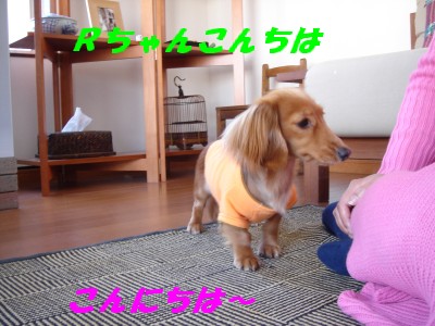 こんにちは～