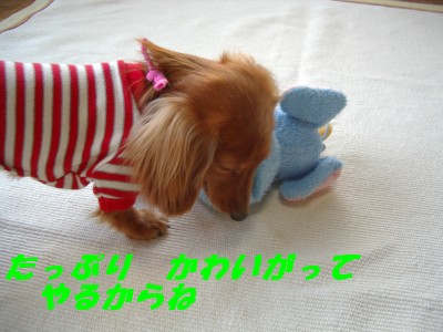 かわいがって