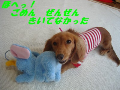 きいてなかった