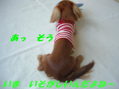 あっそう