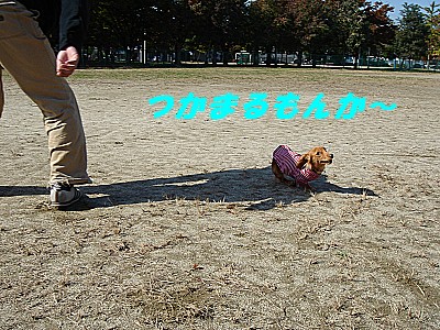 つかまるもんか