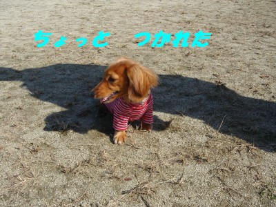ちょっと　疲れた