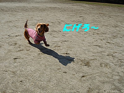 逃げろー