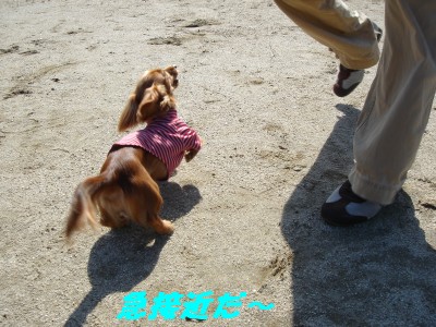 急接近