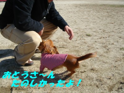 楽しかったよ～