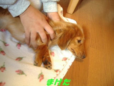 まけた