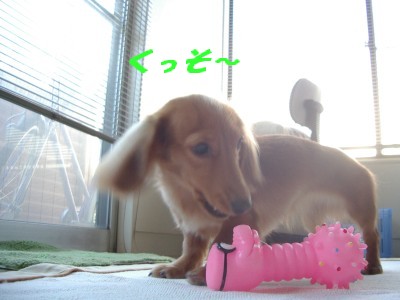 くっそ～