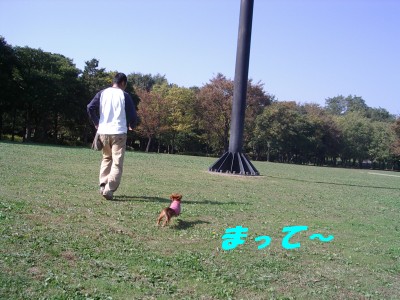 まって～