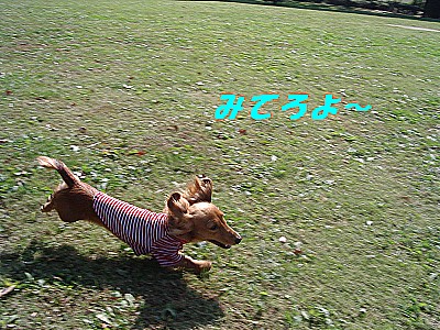 みてろよ