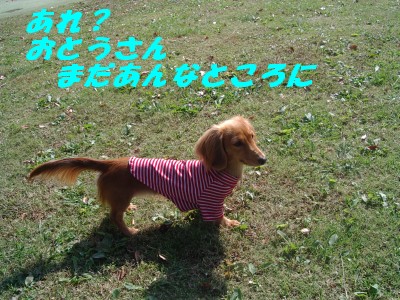 まだ