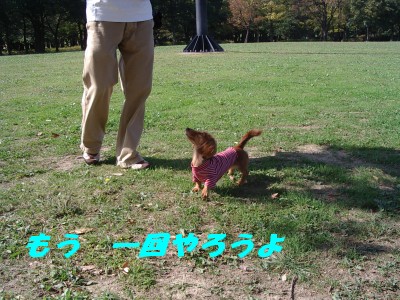 もう一回