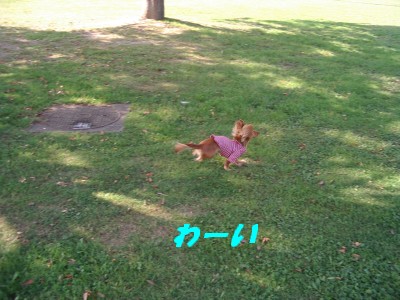 わーい