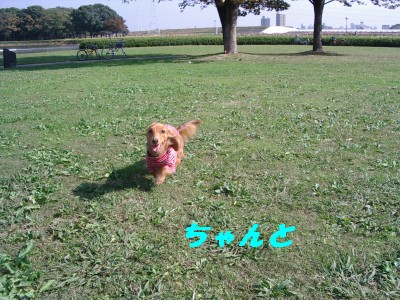 ちゃんと