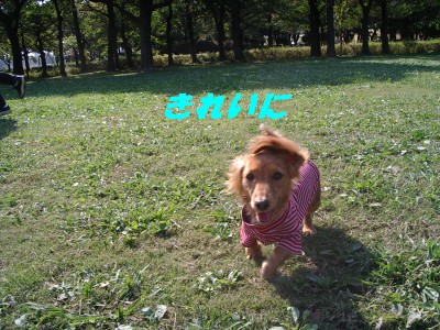 きれいに