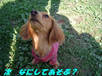 何してあそぶ
