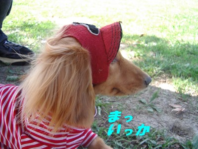 まっいっか