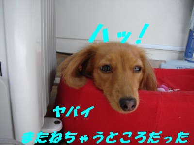ねちゃうところだった