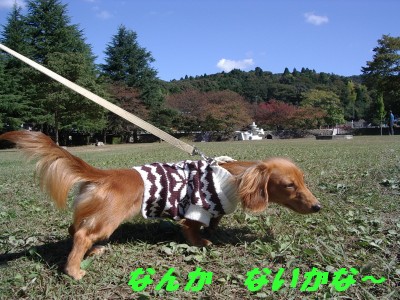 なんかないかな