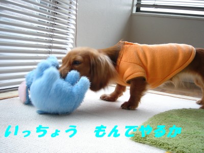 いっちょうもんでやるか