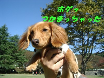 捕まった
