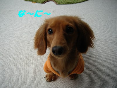 な～に～