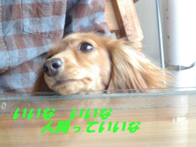 いいな