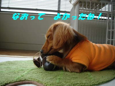 なおってよかったね