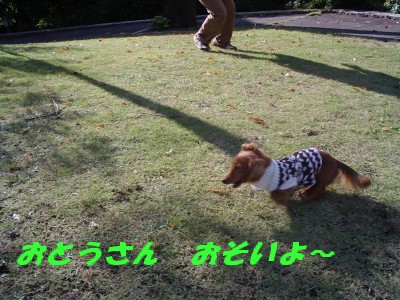 おとうさん　遅い