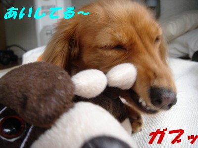 あいしてる
