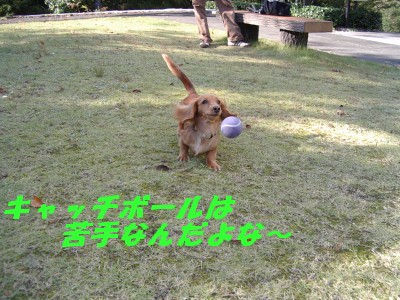 キャッチボール