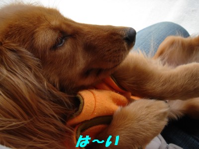 は～い