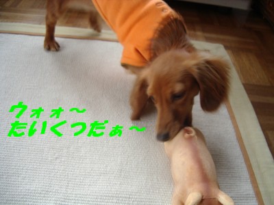たいくつだ～