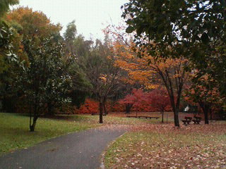 竹の小径5広場全景