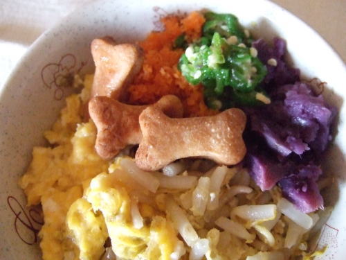 犬の健康つくりのために　手作りフード　素材　レシピ