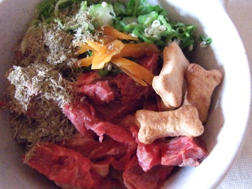 愛犬の健康のために。本日の犬めし・手作りフード・レシピ