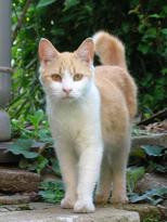 [１]警戒態勢レベル２　05/05/04