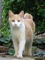 [２]警戒態勢レベル１　05/05/04