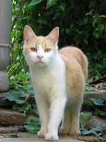 [３]警戒態勢解除　05/05/04