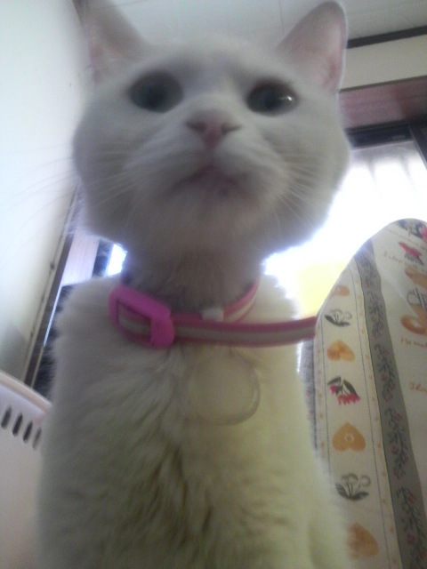 覗き込み～～～より…ママにパッチリお写真