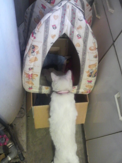 覗き込む美衣…心配なのよ～～～