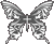 蝶.gif