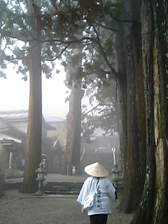 杉の立派な焼山寺