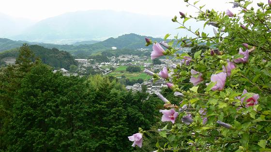 三重塔からの眺め