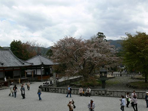 銅灯篭と四本桜