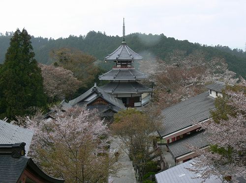 吉野朝宮跡の妙法殿