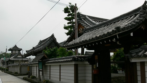 本誓寺と浄照寺がある通り２