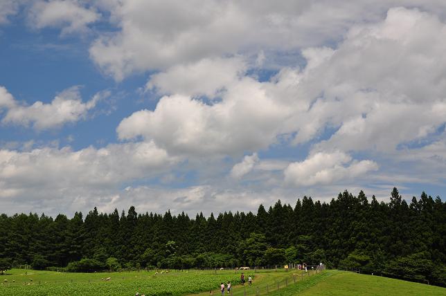 小岩井