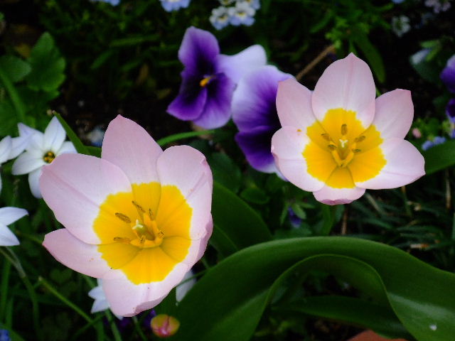 2008_041601100011.JPG